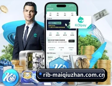买球站 APP 深度功能